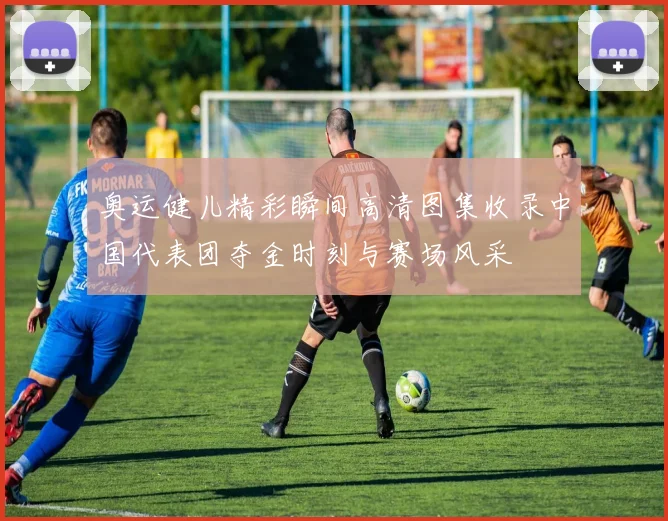奥运健儿精彩瞬间高清图集收录中国代表团夺金时刻与赛场风采