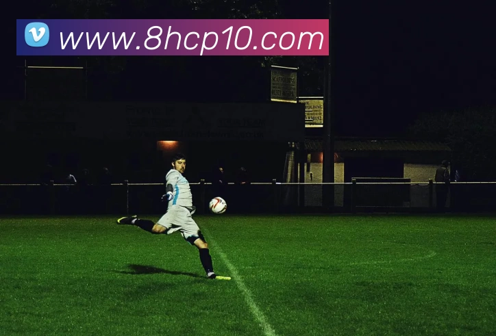 博亚体育app官网入口APP 封面图